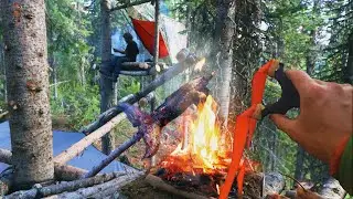 SLINGSHOT Hunting Wild GOPHER | Tree Shelter Catch and Cook