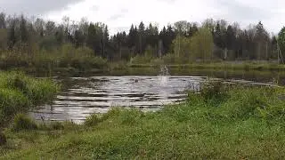 Как поправить здоровье бесплатно