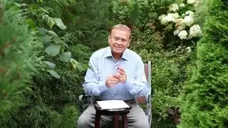 Что такое современная аллопатическая медицина