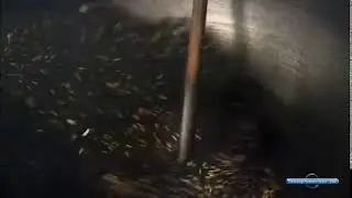 Запах странствий Вьетнам HD