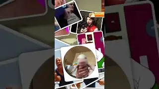 РЕАКЦИИ СТРИМЕРОВ НА МЕМЫ MEMEALERTS 