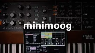 Minimoog & Ableton Hardwave Arpeggiator