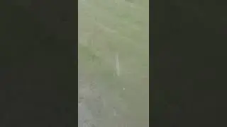 ПОПАЛИ В СИЛЬНЫЙ ГРАД НА ТРАССЕ ОМСК-НОВОСИБИРСК 27.06.23Г.