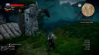 The Witcher 3 - Death March