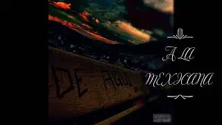 6.- ALA MEXICANA