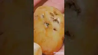КТО ВЫ КАМУШКИ, НАШЛА НА ДОРОГЕ...