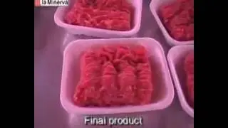 Порционирующая машина MPM 500