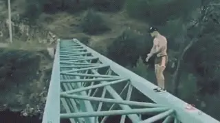 Премия Дарвина