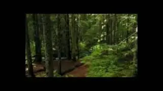 Melody Piano Music,  ~ Relaxing Music for Study, Sleep or Relax