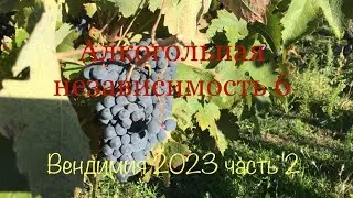 Алкогольная независимость 6. Продолжение
