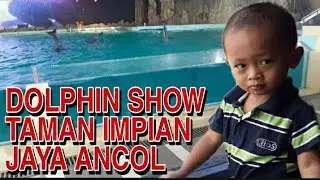 DOLPHIN SHOW TAMAN IMPIAN JAYA ANCOL || CHILDHOOD AZKA 2013