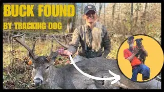 West Virginia Mountain Buck Found with TRACKING DOGS! Epic Deer Recovery After Rainstorm