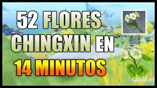 WHERE TO FIND CHINGXIN FLOWER - LOCATION - FARMING ROUTE - LOCATION | GENSHIN IMPACT