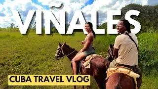 Explore Vinales Valley: An Unforgettable Day Trip from Havana