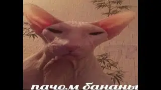 Я ВЕРНУЛСЯ!!!!!
