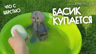 Basik is taking a bath|What's wrong with his fur?|How to wash Basik?|Basik TV