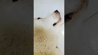Snoring