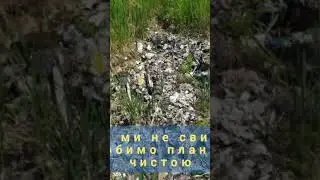 ДЖИПЕРИ ТА ПРИРОДА