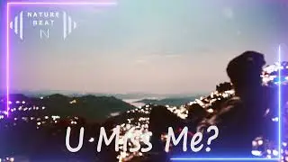 Vicetone - U Miss Me