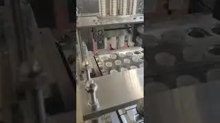 BID ON EQUIPMENT Item: 407131 - 6 Lane TINYARD CFD-6 Inline Filler / Sealer (video 2)