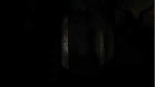 Первый и последний взгляд на Slender