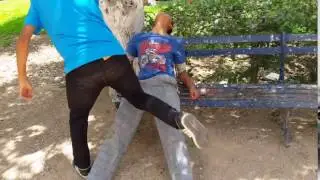 video se suicuida