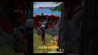 Rip yellow criminal