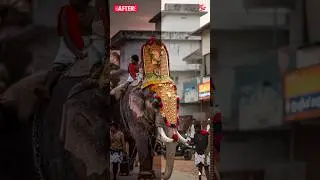 Adobe Lightroom Mobile Edit Before and After | Lr mobile