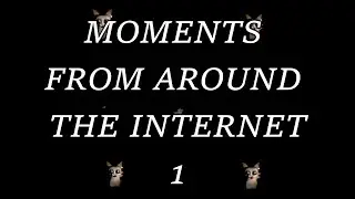 MOMENTS FROM AROUND THE INTERNET 1