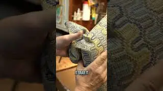🪑⛏️ How to Upholster a Dining Chair Seat Corner with a Leg Cut Out 