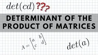 Determinant of the Product of Matrices | Lecture 8 Question 6 | MathsForUni