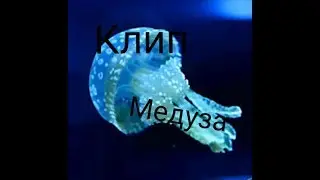 Клип Медуза |Avakin Life|