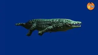 Crocodile blue screen animation download crocodile blue screen 4k 3D effect download link
