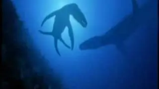 Megalodon vs Liopleurodon