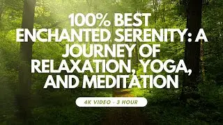 Enchanted Serenity: A Journey of Relaxation, Yoga, and Meditation