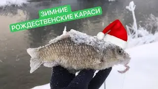 КАРАСИ В МИНУС 30!!! ЭКСТРЕМАЛЬНАЯ РЫБАЛКА НА ХЕРАБУНУ! Рыбий жир