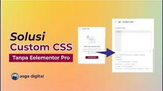 Solusi Custom CSS Tanpa Eelementor Pro