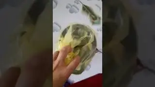 Киа рио оргинальный гур насос