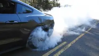 2017 Ford Mustang EcoBEAST Shreds Tires | Burnout