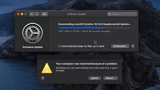 macOS Catalina 10.15.5 Supplemental Update is Out! What's New? Should You Update Now?