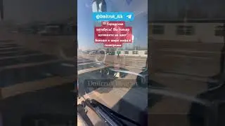 🚌 Городские автобусы! Вы только взгляните на цвет!  Больше и шире инфа в телеграмм.