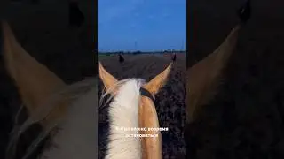 По полям🌅 