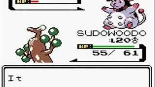 Pokemon-Shiny RARE Pokemon