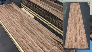 Amara Ebony log #2207268