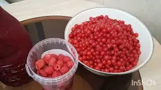 Приехали гости  
