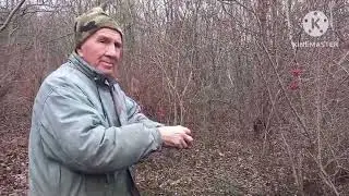 Отзыв на сети