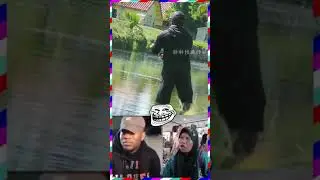 Free Laugh - Funny vid 8 #shorts
