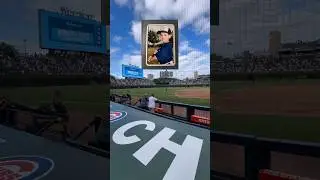THROWING OUT THE FIRST PITCH AT A CUBS GAME 🥹😭 #freddsters #letsmakeit #cubs #baseball #chicago