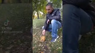 клип Lx24 - осений туман (кавер) 