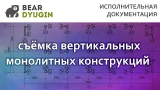 Исполнительная схема вертикальных монолитных конструкций в AutoCAD